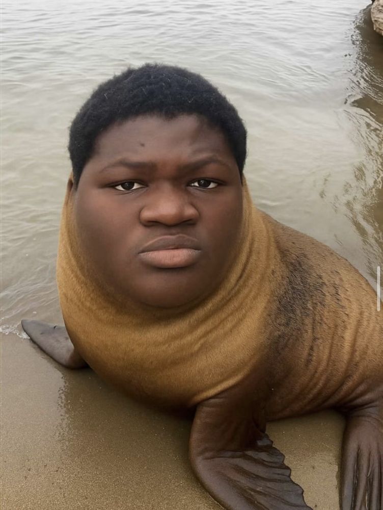 Fan art: Lex's face on a seal lying on the beach